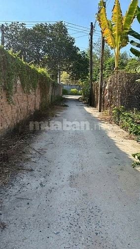 Đất sổ riêng thổ cư phường Tân Triều. Chỉ cần 200 triệu nhận đất