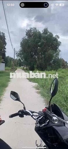 cần bán lô đất trồng cây lâu năm ( lên được thổ cư)