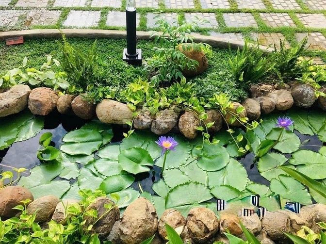 Chính chủ bán gấp 267m2 đất vườn Nguyễn Kim Cương-Củ Chi-HCM-Giá 750tr