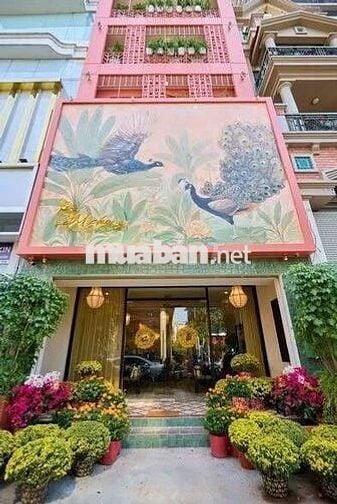 CHO THUÊ TÒA NHÀ MẶT TIỀN NGUYỄN ĐÌNH CHIỂU, QUẬN 1