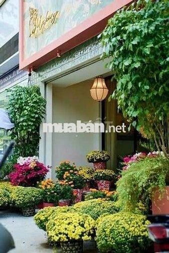 CHO THUÊ TÒA NHÀ MẶT TIỀN NGUYỄN ĐÌNH CHIỂU, QUẬN 1