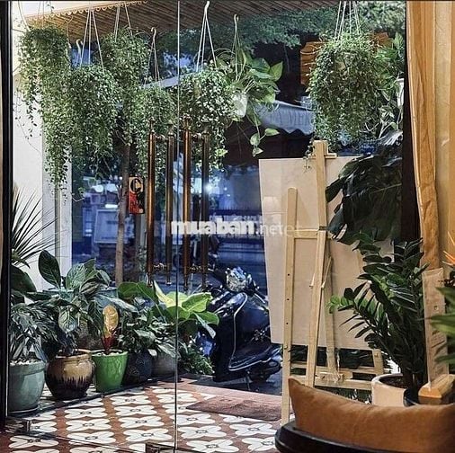 CHO THUÊ TÒA NHÀ MẶT TIỀN NGUYỄN ĐÌNH CHIỂU, QUẬN 1