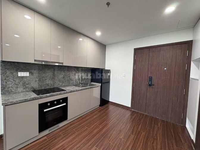 Cho thuê căn hộ 1 phòng ngủ Tòa H1 Masteri OCP1