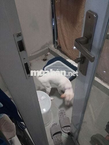 TRẢI NGHIỆM 3 THÁNG TẠI CHUNG CƯ KHÔNG CẦN CỌC