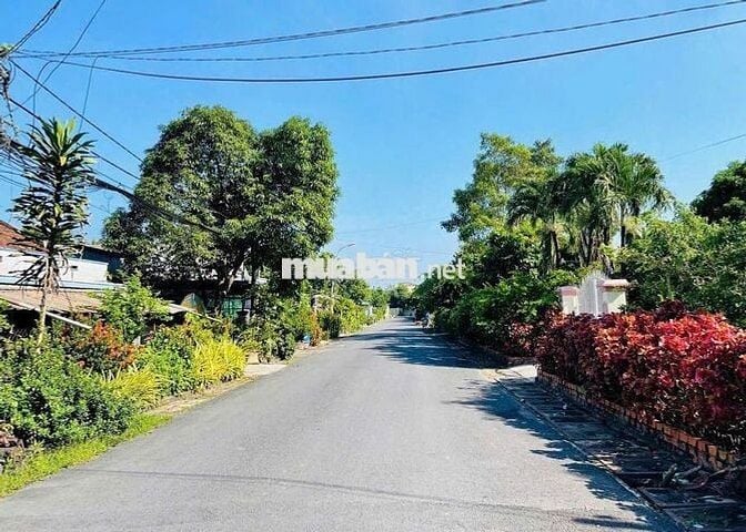 Mặt Tiền Kinh Doanh đường nhựa 8m Thị Trấn Củ Chi 273m2 Sổ Hồng Riêng