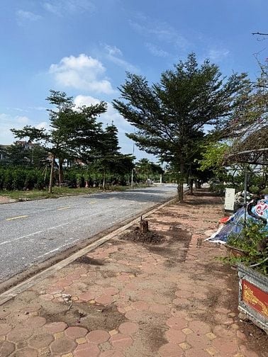 Chính chủ bán đất đấu giá thôn Công Luận 2, TT Văn Giang, Hưng Yên