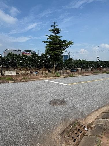 Chính chủ bán đất đấu giá thôn Công Luận 2, TT Văn Giang, Hưng Yên