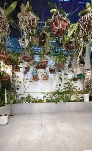 Nhà Đẹp Lung Linh, Công Năng Tối Ưu, 02 Tầng, 4x25m