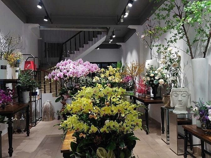 Cho thuê nhà văn phòng, cửa hàng, online, mặt phố 101B Nguyễn Khuyến