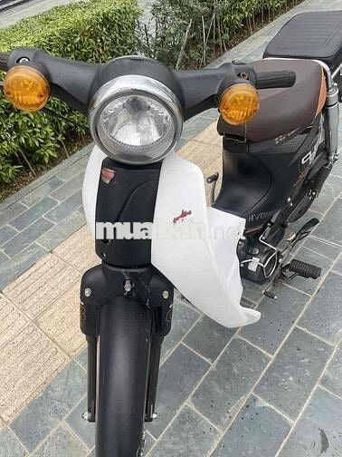 Thanh lý cúp 50cc siêu mới chưa đăng ký