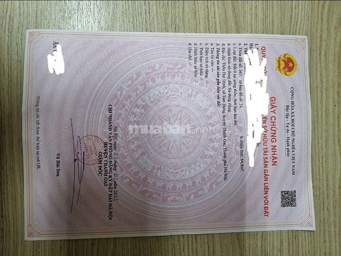 Cần Bán lô đất Đại Định - Tam Hưng - Thanh Oai - HN: