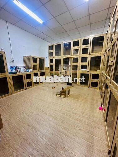 🆘CHO THUÊ NHÀ MẶT TIỀN THỐNG NHẤT🆘5X27M TRỆT 2 LẦU + TRỆT RỘNG SUỐT