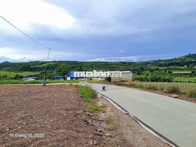 ĐẤT VIEW ĐỒI SỔ RIÊNG, CHỈ 730 TRIỆU SỞ HỮU NGAY 1.200M VEN ĐÀ LẠT!