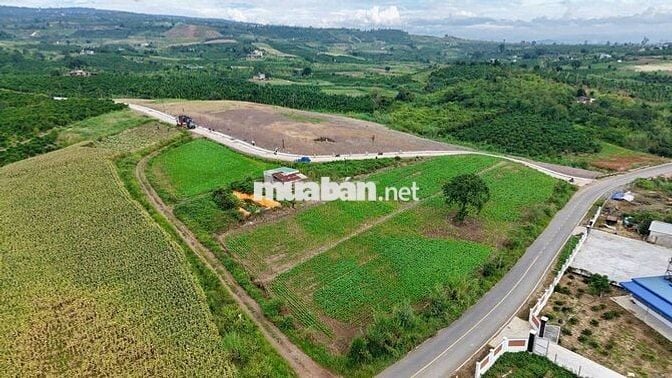 ĐẤT VIEW ĐỒI SỔ RIÊNG, CHỈ 730 TRIỆU SỞ HỮU NGAY 1.200M VEN ĐÀ LẠT!