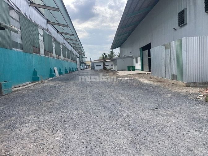 Cho thuê kho xưởng 6.000m2 Hướng Thọ Phú, Tân An,Long An (cũ), giá tốt