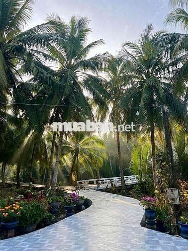 Đất nhà em cần cắt ra bán 800m2