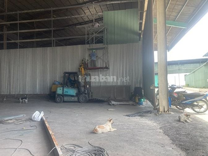 Cho thuê kho xưởng 6.000m2 Hướng Thọ Phú, Tân An,Long An (cũ), giá tốt