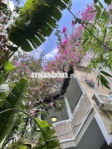 CHO THUÊ BIỆT THỰ SÂN VƯỜN LÊ VĂN SỸ Q3, DT 14x18M, TRỆT  2 LẦU, 80TR