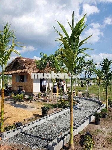 Cần bán lô đất (1056m2 có thổ cư) ngay chợ Gò Dầu - Tây Ninh
