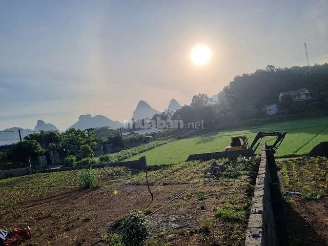 Mình chính chủ cần bán gấp 123.9m2 tại Lương Sơn giá cực rẻ