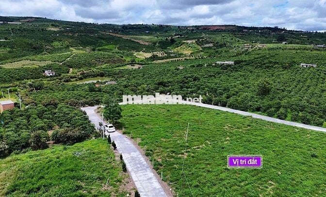 Bán lô đất đẹp ven Đà Lạt, săn mây buổi sáng giá chỉ 550tr