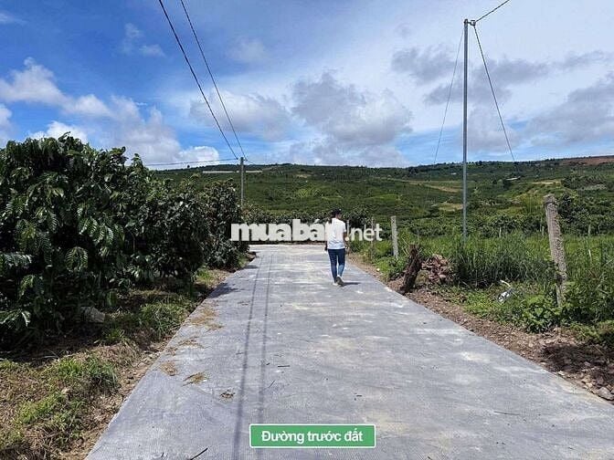 Bán lô đất đẹp ven Đà Lạt, săn mây buổi sáng giá chỉ 550tr