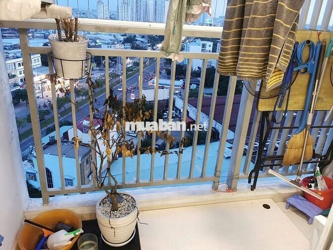 Cho thuê nhà căn hộ  moonlight boulevard