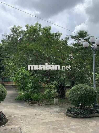 Cho thuê căn Sophao chung cư sơn kỳ 1 phường sơn kỳ quân Tân Phú