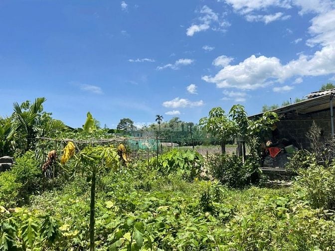 1000, 2000, 3000m đất đẹp giá rẻ tiềm năng đầu tư tại Kim Bôi Hòa Bình