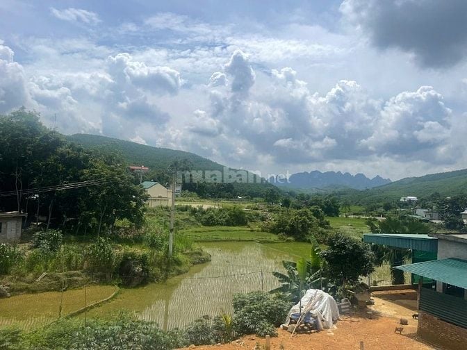 1000, 2000, 3000m đất đẹp giá rẻ tiềm năng đầu tư tại Kim Bôi Hòa Bình