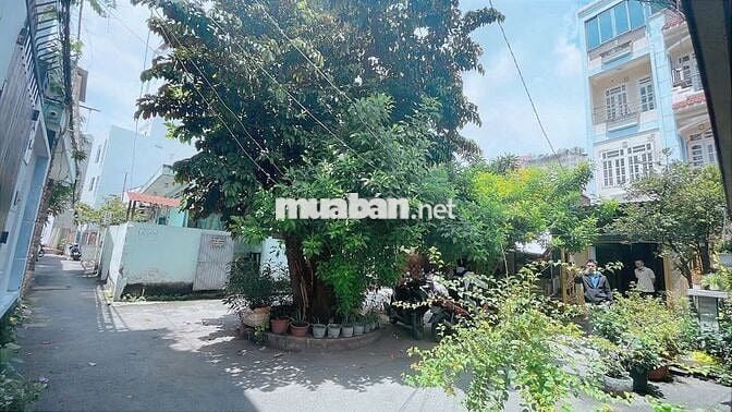 Bán 2 căn nhà sổ riêng Hẻm lớn đường Nguyễn Thiện Thuật