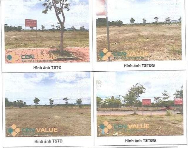 Công ty Đấu giá hợp danh Sao Việt 