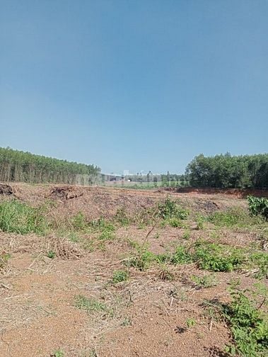 Bán nhanh 1,1359ha đất rừng sản xuất Tân An, Vĩnh Cửu, Đồng Nai