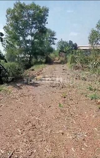 Bán nhanh 1,1359ha đất rừng sản xuất Tân An, Vĩnh Cửu, Đồng Nai