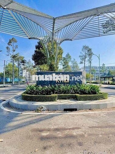 Nền Đường Đinh Công Trứ lộ Lớn vị trí kinh doanh đối diện trường học