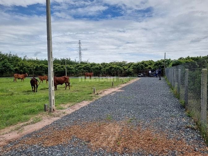 5x35 full thổ, đường thông. Sổ sẵn. Gần quốc lộ. 395tr 