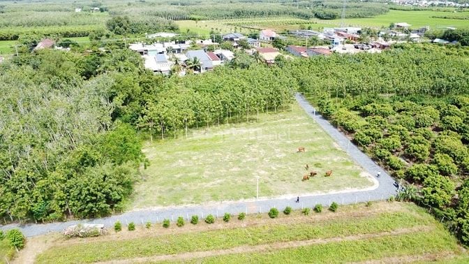 5x35 full thổ, đường thông. Sổ sẵn. Gần quốc lộ. 395tr 