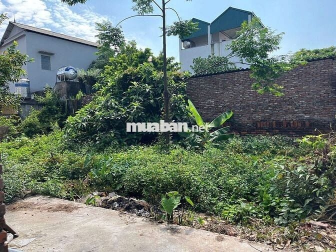 ĐẤT ĐẸP GIÁ TỐT – GẦN NHÀ VĂN HÓA & HỒ ĐIỀU HÒA KIM SƠN, GIA LÂM