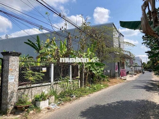 MẶT TIỀN TẠ THỊ PHI SIÊU ĐẸP THÍCH HỢP XÂY TRỌ, GẦN ĐẠI HỌC FPT