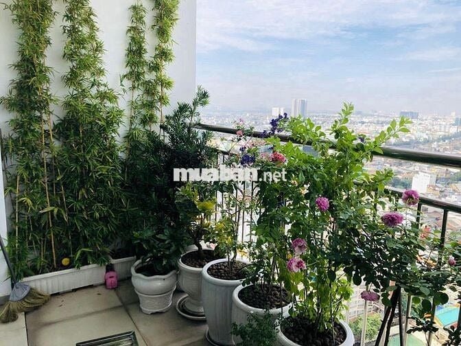 Cần bán căn hộ chung cư  86 Tản Đà Court, Phường 11, Quận 5