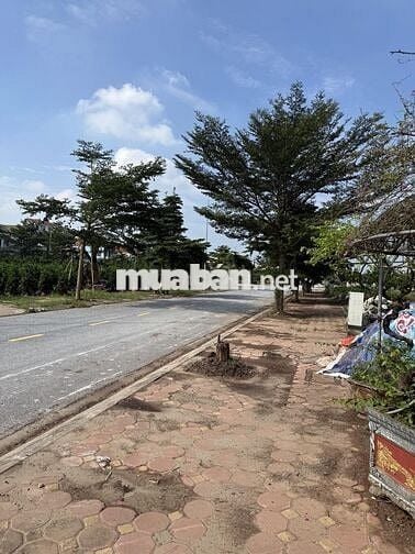 Chính chủ bán đất Đấu giá Thôn Công Luận 2, TT Văn Giang, Hưng Yên