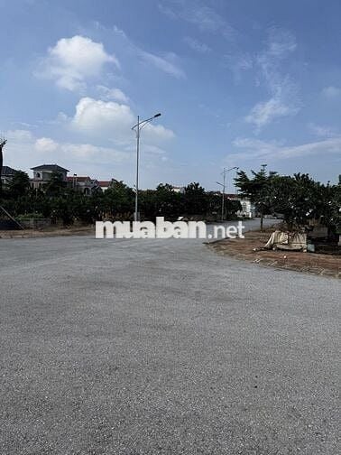 Chính chủ bán đất Đấu giá Thôn Công Luận 2, TT Văn Giang, Hưng Yên