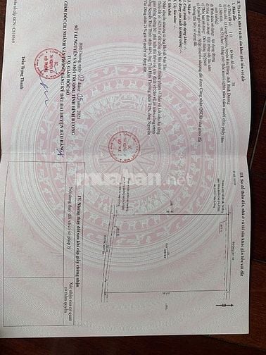 BÁN ĐẤT VƯỜN CAO SU (ĐẤT TRỒNG CÂY LÂU NĂM)