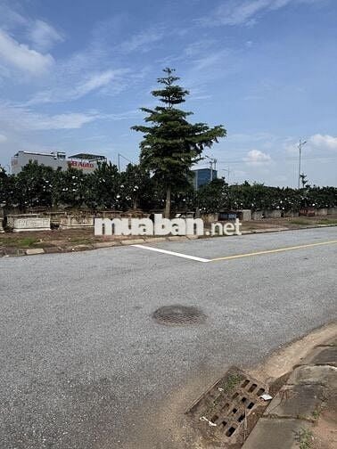 Chính chủ bán đất Đấu giá Thôn Công Luận 2, TT Văn Giang, Hưng Yên