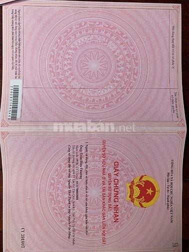 BÁN ĐẤT VƯỜN CAO SU (ĐẤT TRỒNG CÂY LÂU NĂM)