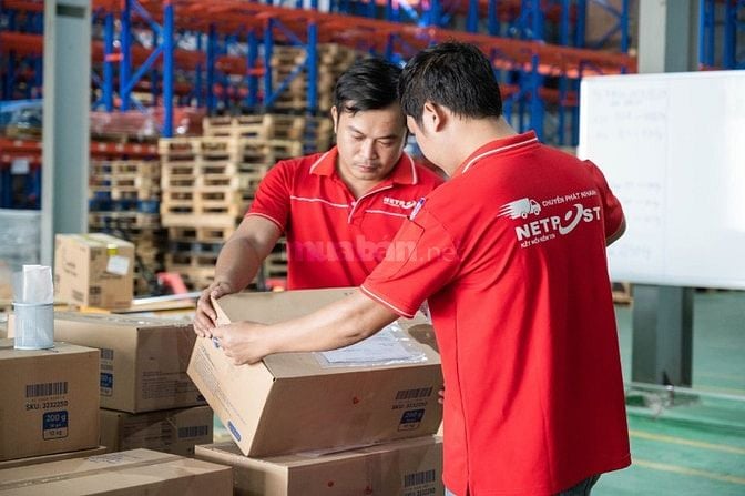 TRƯỞNG NHÓM/ NHÂN VIÊN ĐIỀU PHỐI 