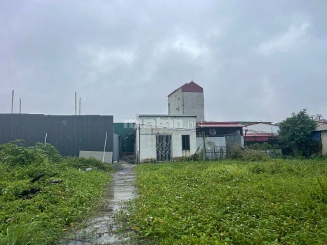 Bán đất 100m2 chính chủ tại xã Tả Thanh Oai, Thanh Trì – giá 800tr