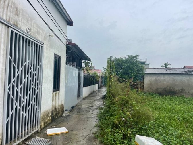 Bán đất 100m2 chính chủ tại xã Tả Thanh Oai, Thanh Trì – giá 800tr