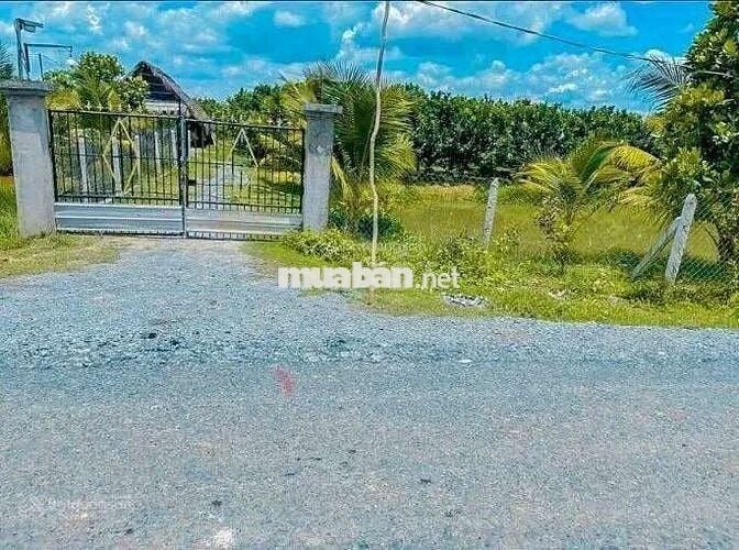 Kẹt tiền bán gấp đất thổ cư giá rẻ