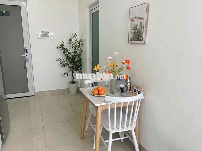 Khu K300 Khai Trương Căn Hộ Gần Etown Cộng Hoà - Nhà Ga T3